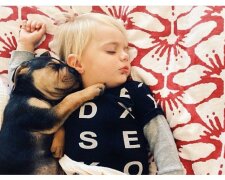 Adoptovali štěňátko, ale nečekali, jak dobře se doma přizpůsobí