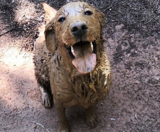 Fotografie: laykni.com