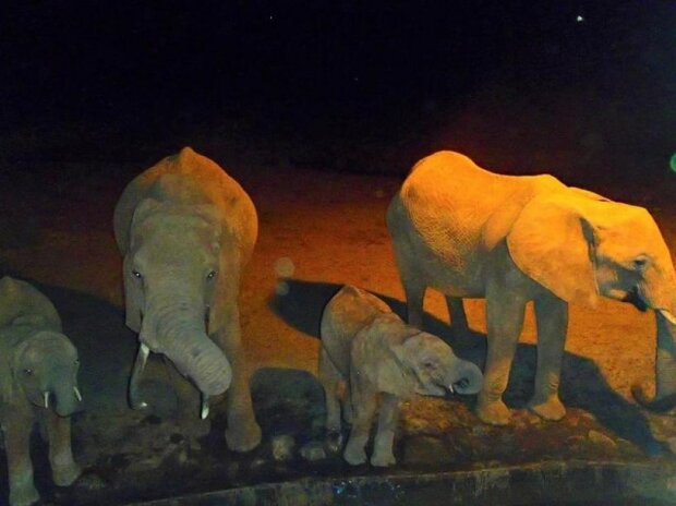 Zdroj fotografie: storyfox.ru