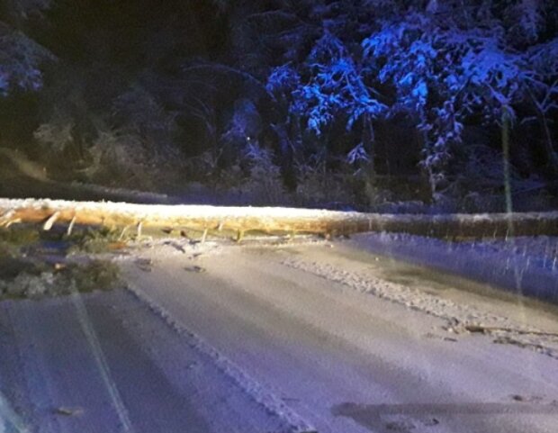 Sněžení. Foto: snímek obrazovky tn.nova.cz