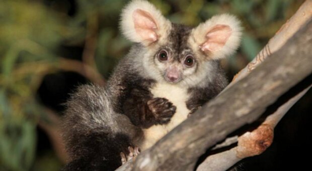 Fotografie: laykni.com