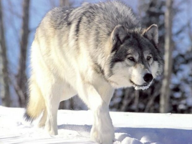 Fotografie: publy.ru