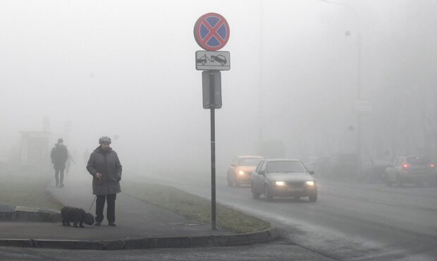"Každý kout Česka přikryje mlha": Meteorologové řekli, kdy ji proříznou sluneční paprsky. Předpověď na tento týden