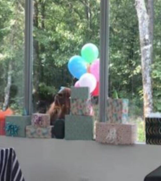 Překvapení. Foto: snímek obrazovky TikTok