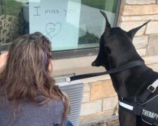 Starší lidé byli izolováni v pečovatelském domě. Dívali se na psa za oknem se slzami v očích, protože přišel, aby jim pomohl