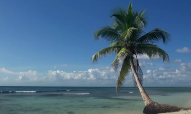 Dovolena. Foto: snímek obrazovky YouTube