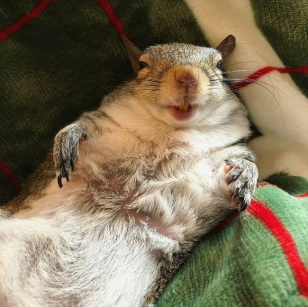 Zdroj fotografie: instagram.com