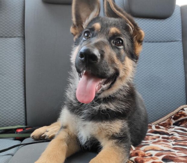 Fotografie: laykni.com