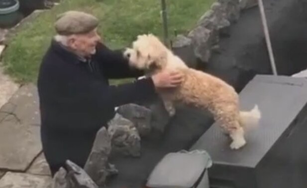 Přátelský pes zbožňuje staršího souseda