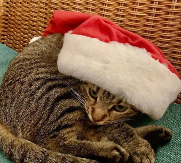 Fotografie: blesk.cz