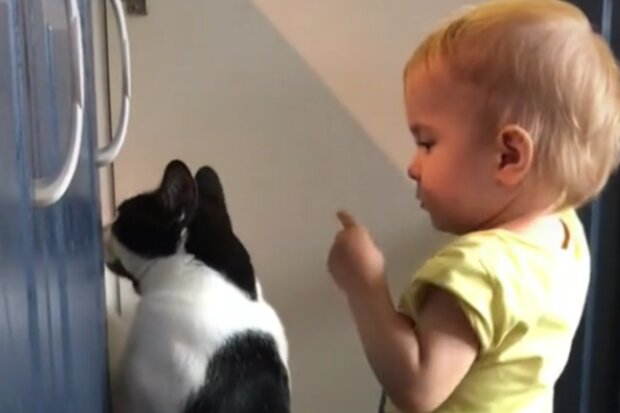Dítě a kočka. Foto: snímek obrazovky TikTok