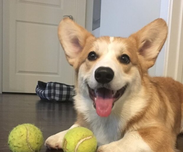 Fotografie: laykni.com