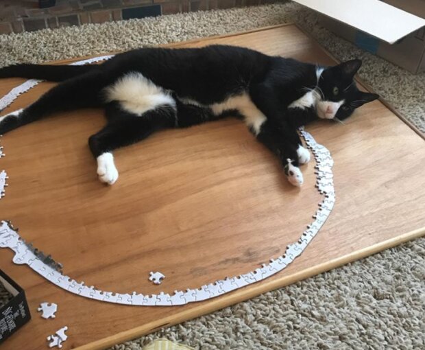 Fotografie: laykni.com