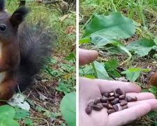 Fotografie: 4tololo.ru