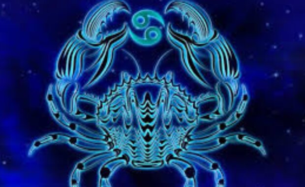 Rak. Foto: snímek obrazovky encrypted-tbn0.gstatic.com