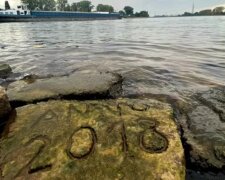 Foto: snímek obrazovky bbc