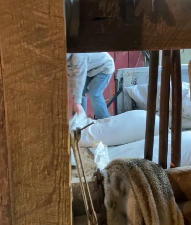 Kluk. Foto: snímek obrazovky YouTube