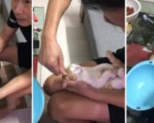 Děda učí syna, jak koupat vnuka: tutoriál koupání miminka s kočkou v hlavní roli