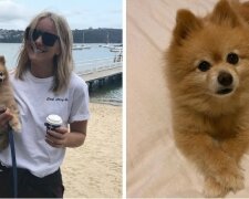 Majitelka se rozhodl psa seříznout, zatímco kadeřníci byli zavřeni. A marně, protože nový střih není ani podle chuti psa