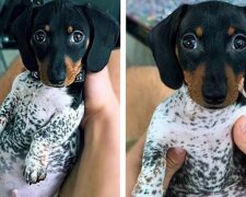 Fotografie: laykni.com