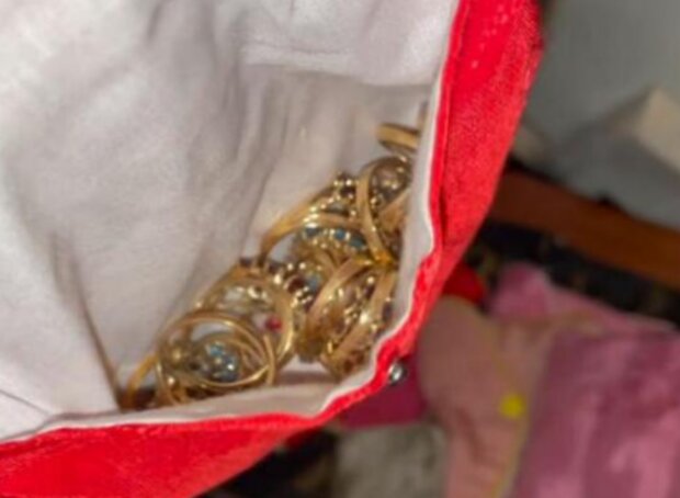 Nálezy. Foto: snímek obrazovky lemurov