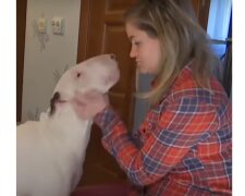 Holka a pes. Foto: snímek obrazovky YouTube