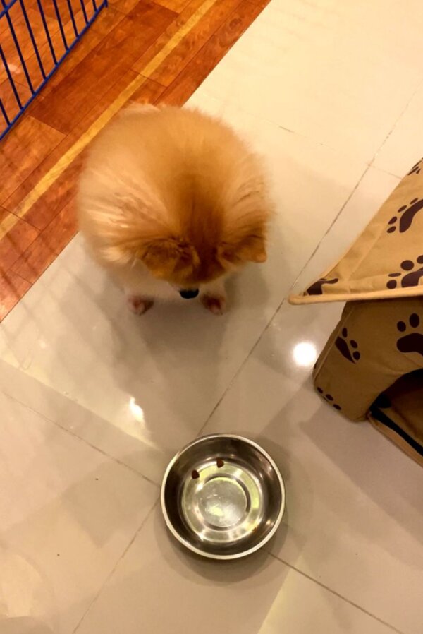 Fotografie: 4tololo.ru