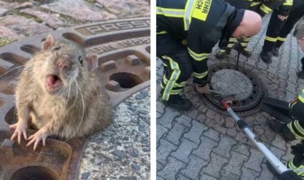 Fotografie: yaustal.com