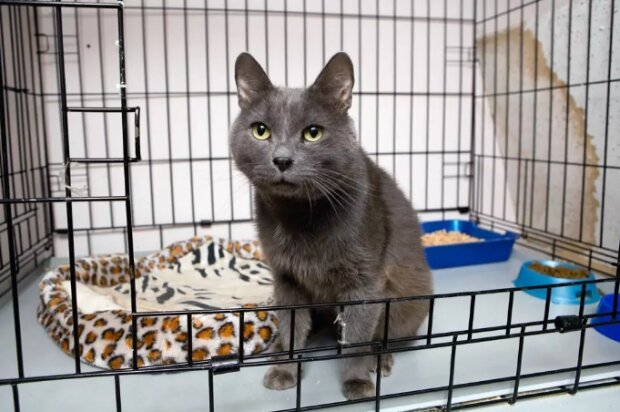 Fotografie: Dobrodom.org