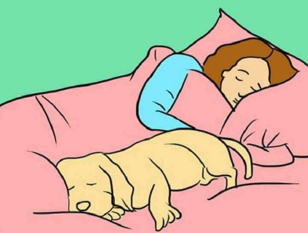 Pes. Foto: snímek obrazovky: superhear.info