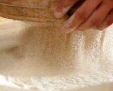 Recept na housky plněné vařeným kondenzovaným mlékem: jedné porce těsta stačí na dva celých plechy