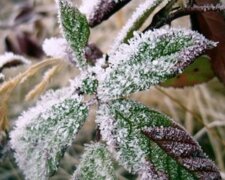 Přes den nula stupňů: Je známo, jaké bude počasí o víkendu