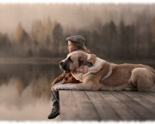 Nejoddanější plemena psů: seznam, pojmenování, popis, fotografie