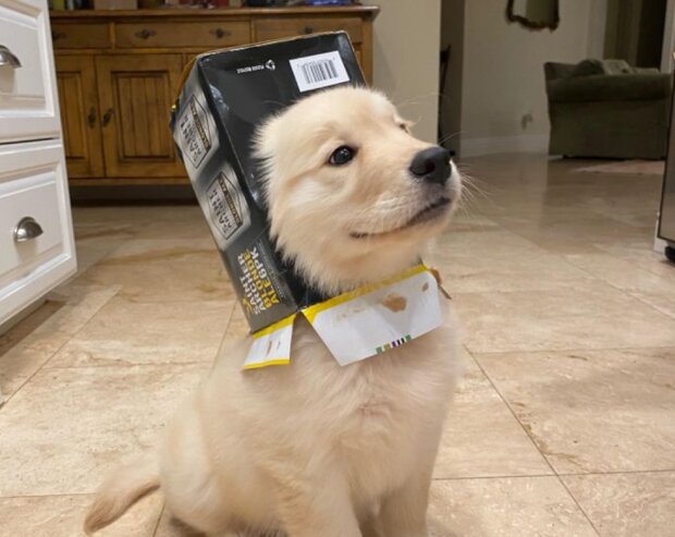 Fotografie: laykni.com