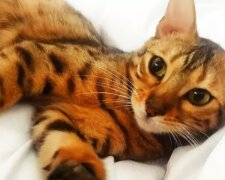 Fotografie: Kennedy News & Media