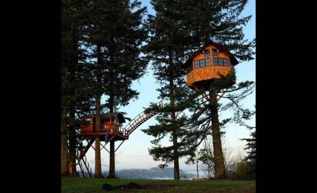 "Splnil jsem svůj dětský sen": mladík opustil práci v kanceláří a postavil v lese dům na stromě