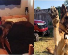 Fotografie: laykni.com