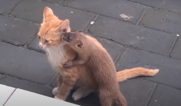 Zdroj fotografie: Storyfox