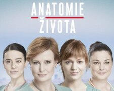 Anatomie života: Je známo, odkdy hvězdně obsazená náhrada Ordinace v růžové zahradě poběží