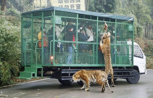 Zdroj fotografie: Storyfox