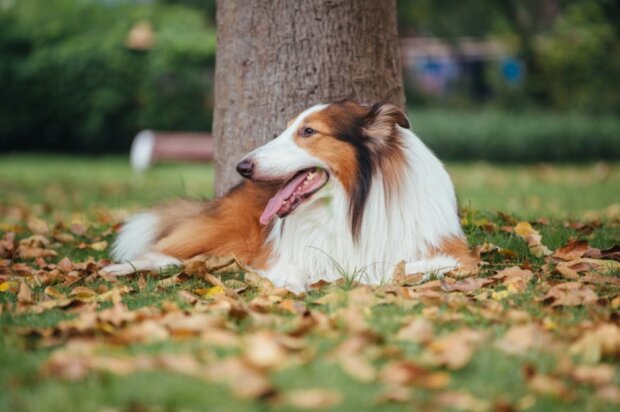 Fotografie: Pan Xunbin/Moment Open/Getty Images