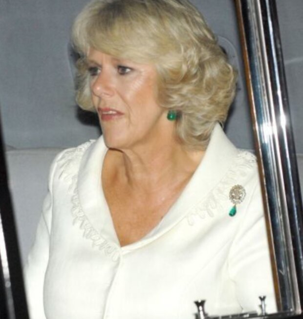 Vévodkyně Camilla. Foto: snímek obrazovky tsn