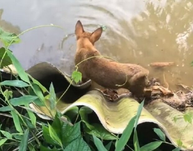 Zdroj fotografie: mur.tv