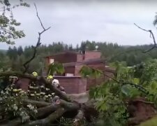 Bouřky doprovázené přívalovými srážkami: Meteorologové zveřejnili scénář počasí nejbližších dnů