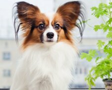 Fotografie: ofigenno.com