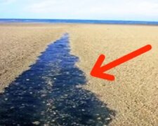 Námořníci nejdřív nechápali, kam se dostaly: navzdory nebezpečí viděli "zázrak přírody"