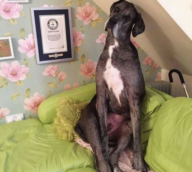 Fotografie: leprechaun.land