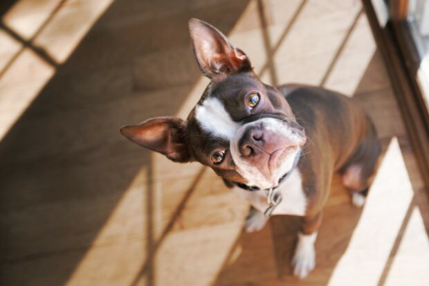 Fotografie: copyright2017r.nelson/Moment/Getty Images