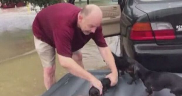 Skutečný hrdina. Foto: snímek obrazovky storyfox.ru