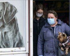 Psi, boty a kabáty: co dezinfikovat v době izolace